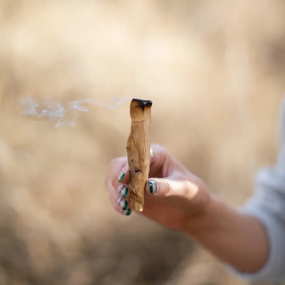Palo Santo stick
