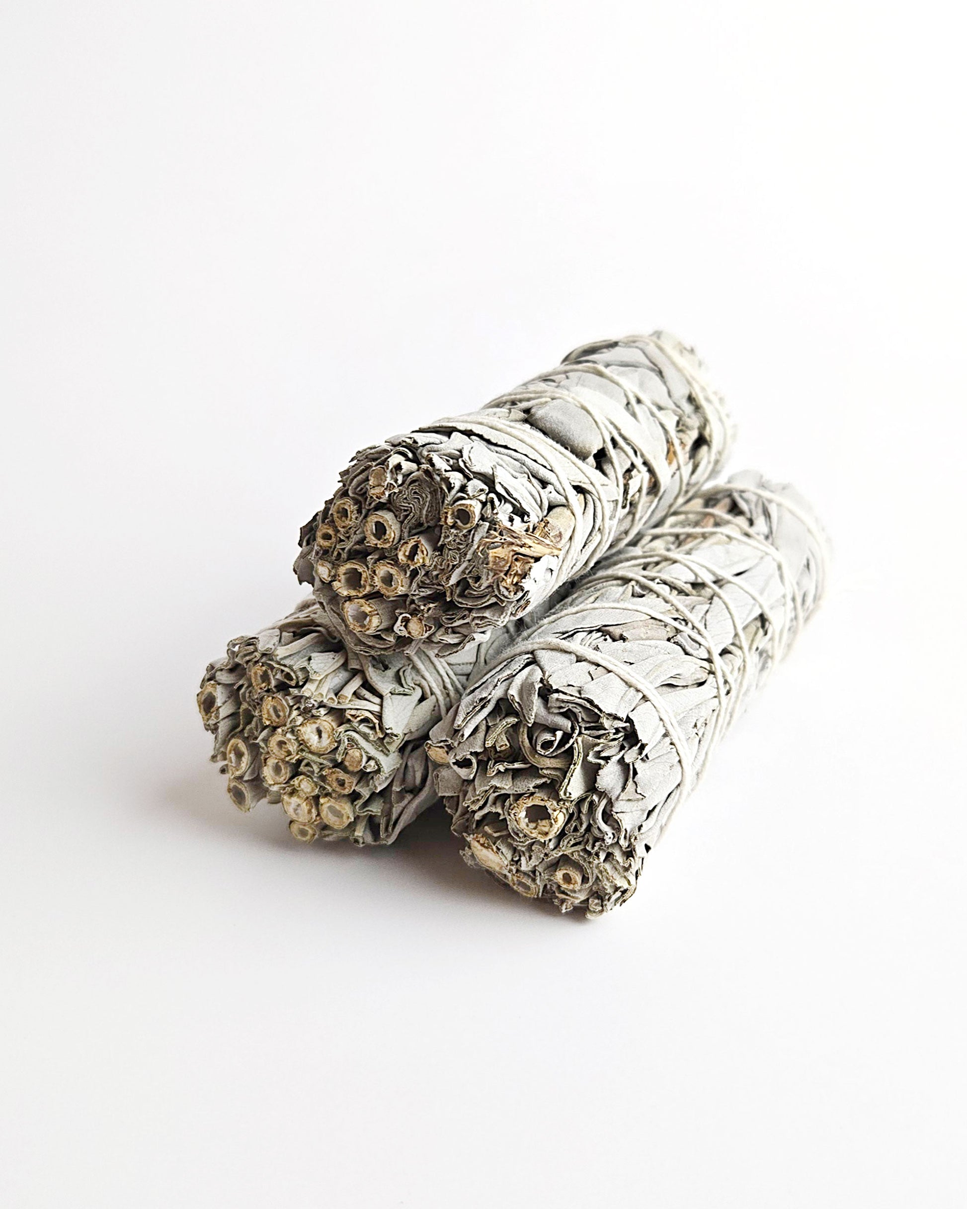 small sage sticks front view