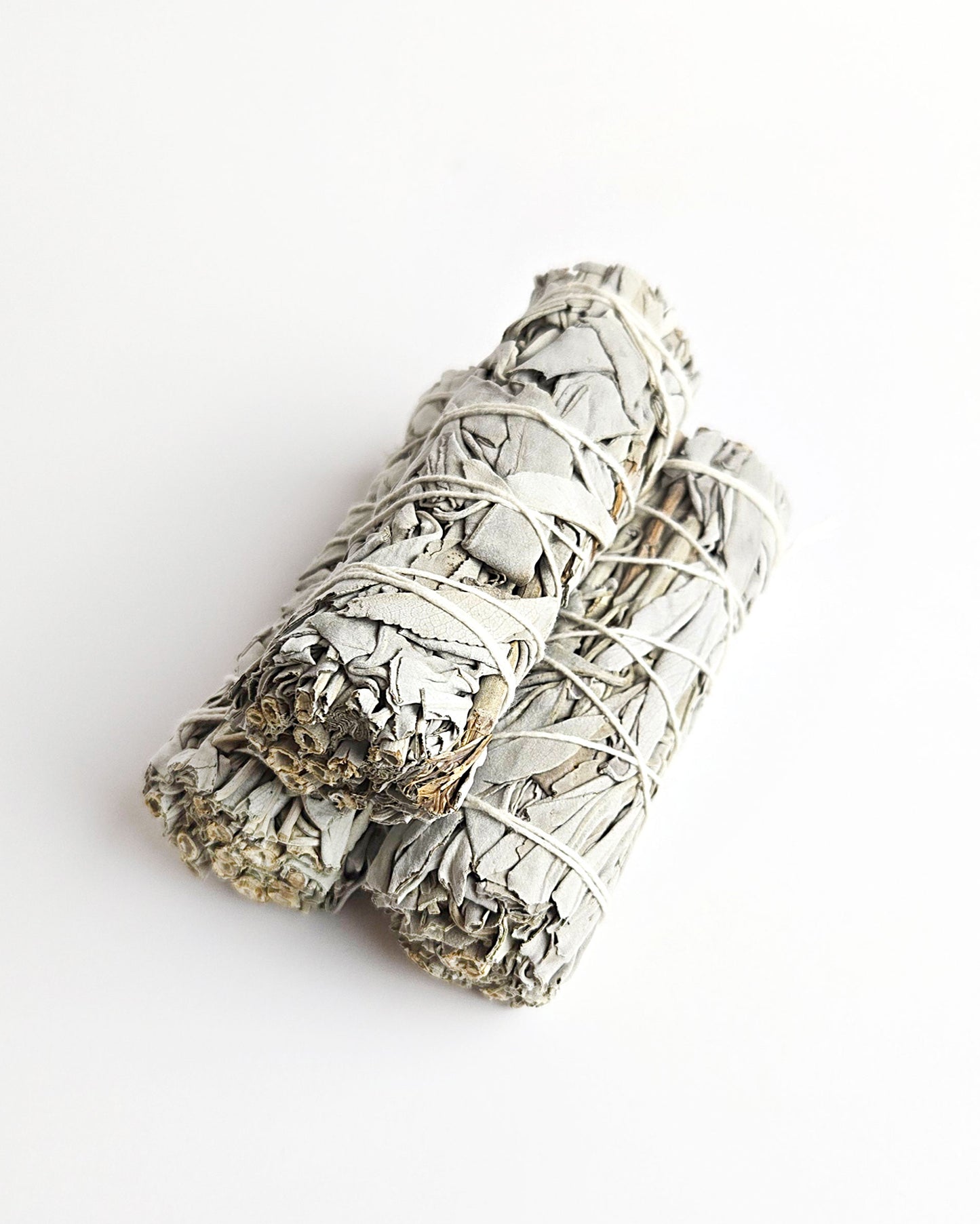small sage sticks top view